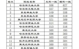 黑龙江大学法学院是什么档次？（黑龙江大学法律专业分数线）