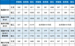 2020江西省南昌大学分数线？（2020江西高考二本文科分数线）