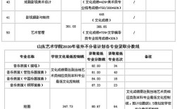 2020山东舞蹈艺考双过线多少人？（2020山东舞蹈专业分数线）