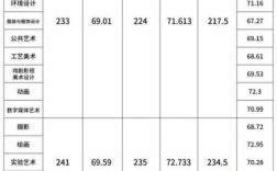 我是江苏省美术生，统考256分，文化一般240左右，能上什么大学啊？（江苏艺术职业大学分数线）