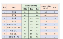 中南林业科技大学涉外学院2020艺术类录取分数线？（中南大学艺术类录取分数线2020）