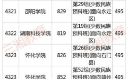 2020邵阳学院录取分数线？（邵阳学院艺术文化分数线）