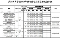 2020年武体单招录取分数线？（网球高水平运动员录取分数线）