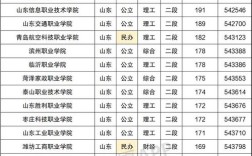 山东省分数线在300左右的专科学校有那些？（济宁师范学院专科历年分数线）